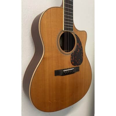 L'Arrivee LV03RE Grand Auditorium Electro Acoustic Guitar with Hardcase Pre-Owned image 6