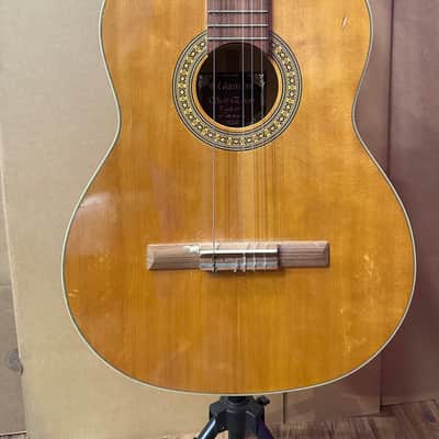 Giannini Serie Estudo Acoustic Guitar - Brazil image 2