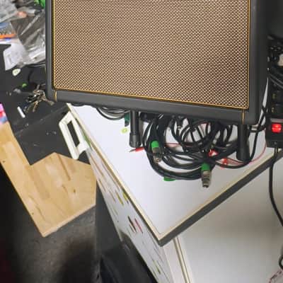 Positive Grid Spark CAB 140-Watt 1x10" Active Guitar Speaker Cabinet 2023 - Present - Black image 2