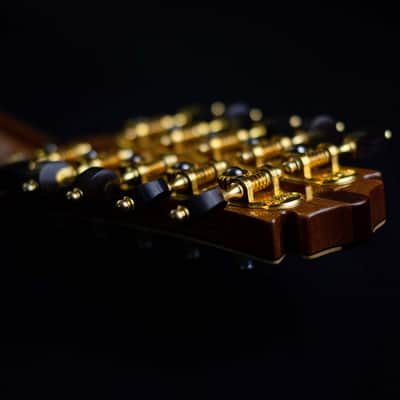Pedro Santos 10-String Mandolin with VS Tuners | Brazil (Dudu Maia Model) image 9
