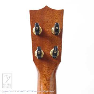 KAWAKAMI GUITARS＜MIJ> T-1M DX 2006 image 6