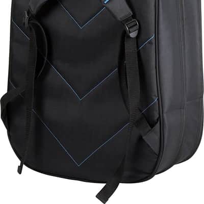 Reunion Blues RBX-2B Double Bass Guitar Gig Bag, Black image 4
