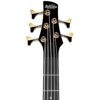Ibanez GSR205PC TPB Gio 5 String Electric Bass. Transparent Pale Black Burst image 5