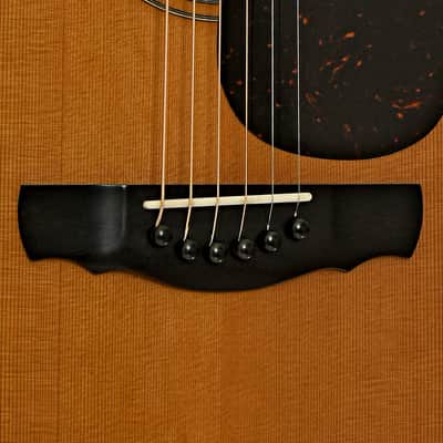 Kevin Ryan Mission grand concert 2002 - custom special. image 3