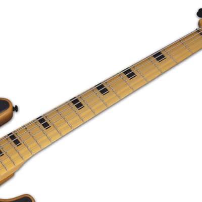Schecter SCH.2847 Model-T Session-5 Aged Natural Satin image 15