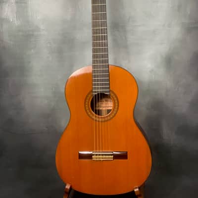 "Tamirez"...1969 Hiroshi Tamura P-30 Classical image 1