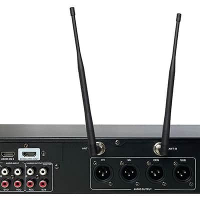 SINGTRONIC DSP-3000 Pro 2024 image 3