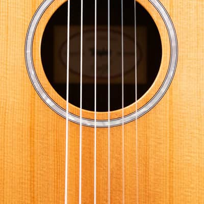 Taylor 212ce-N Plus Nylon Grand Concert Acoustic/Electric Guitar with Aerocase image 11