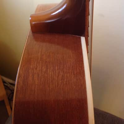 Vintage Paramount by Harmony USA-Made 12 String image 5