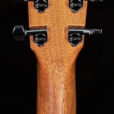Martin Road Series D-10E Sapele (215) image 6