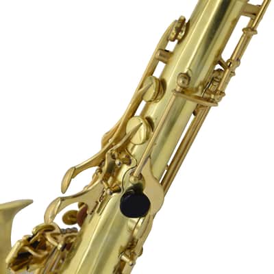 L.A. Ripamonti 5040VFRNAT-VI Sax Tenore image 4