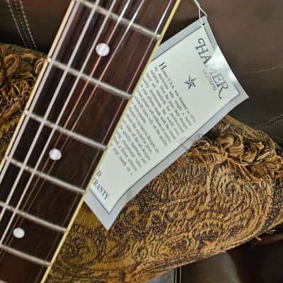 Hamer Echotone 335 Semi Hollow Body Electric Guitar image 13