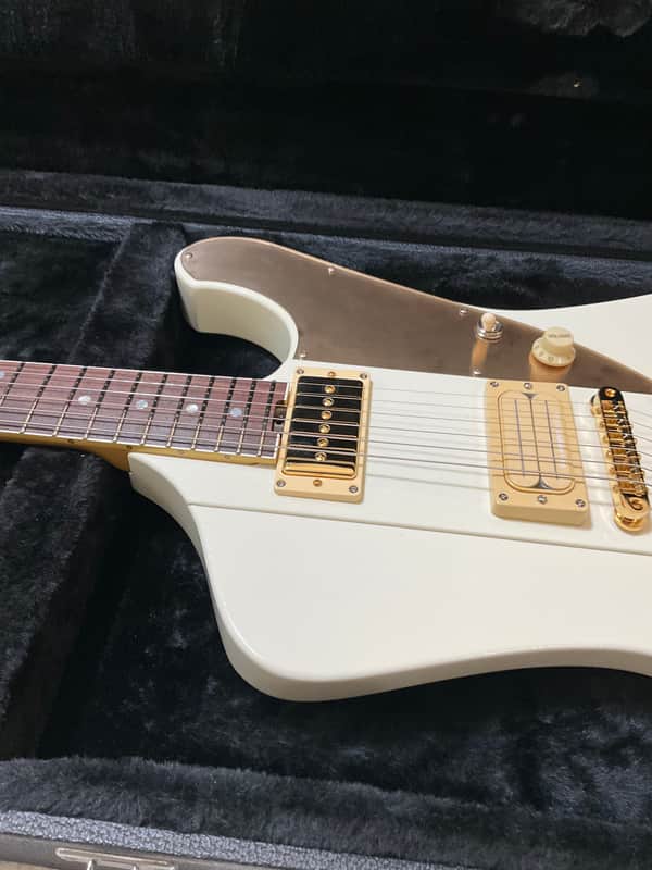 ESP edwards cygnus LEDAモデル シグナス EDWARDS エドワーズ E-Cygnus