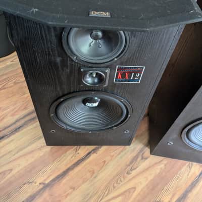 DCM KX-12 - Pair - 12” Woofer Speakers, 250 Watts Per Speaker image 2