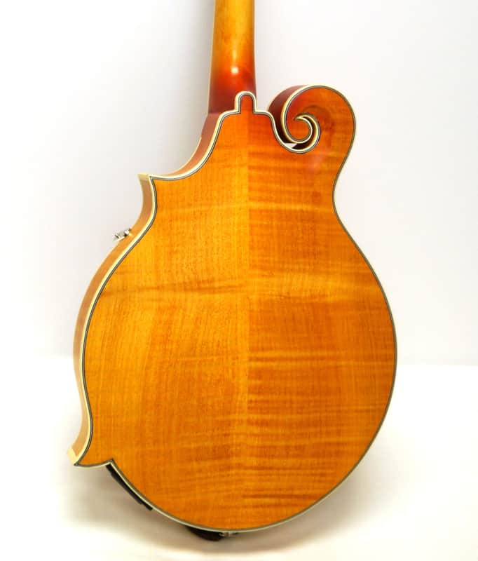 Epiphone MM-50E Professional F-Style Acoustic-Electric Mandolin