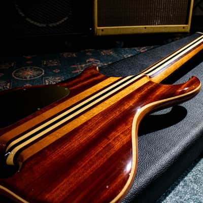 ALEMBIC MJLB5F Signature Standard 2010 image 17