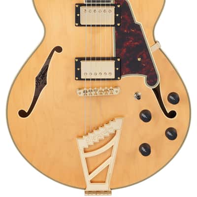D'Angelico DADSSSHNGT DELUXE SS Single Cutaway Semi-Hollow Body 6-String Electric Guitar w/Deluxe Hardshell Case image 6