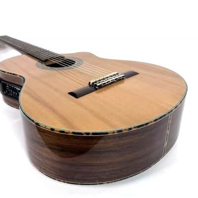 Hand Made Acoustic Electric Classical Guitar Custom W/ Case! image 8