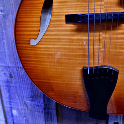 Sadowsky Jim Hall Archtop - Violin Burst image 4