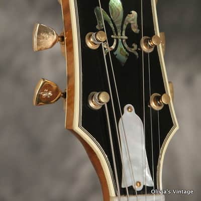 Gibson Citation #22 1984 Brown image 5