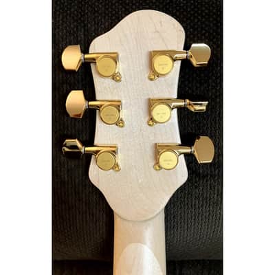 G Handcrafted (Custom built) Caracol-G 2023 image 6
