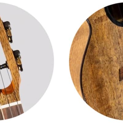 Flight FIREBALL BARITONE EQ-A Solid Mango Top Mahogany Neck 4-String Ukulele w/Padded Gig Bag, Pickup & Humidifier image 9