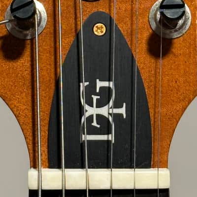 PRS DGT Wood Library One Piece 10-Top - Brazilian Rosewood Fretboard Yellow Tiger beauty image 3