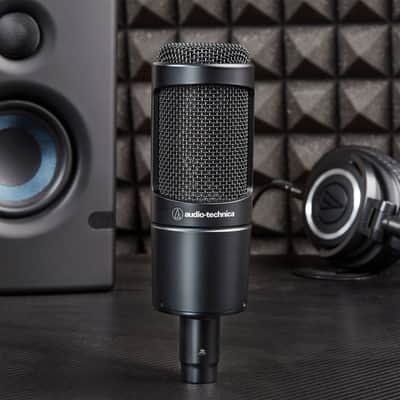 Audio-Technica Pro: AT2035 Condenser Studio Microphone (Open Box Special) image 3