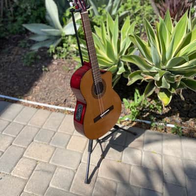 Sunlite Acoustic- Electric Guitar image 6