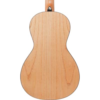 Ibanez PN2MD PN Acoustic Guitar - Open Pore Natural image 9