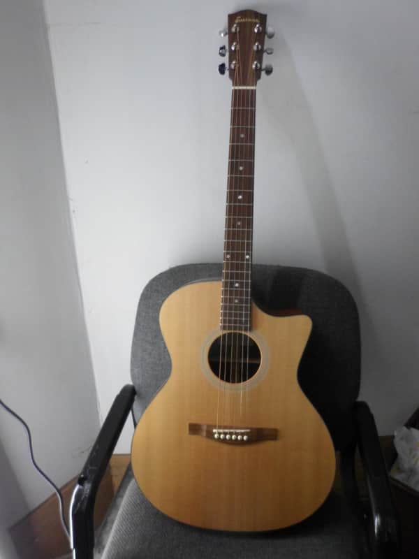Eastman Grand Auditorium AC-GACE-1 acoustic Guitar image 1