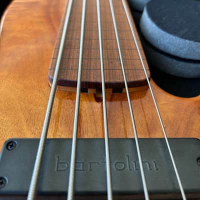 Handmade "Tom Clement" Fretless 5 String Bass image 6