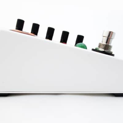 Rainger FX ECHO-X digital delay (& Igor) image 4
