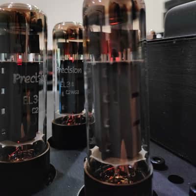 VTL MB-125 COPPIA FINALI MONO MONOBLOCK VALVOLARI TUBE POWER AMP VTL- MB125  Silver image 14