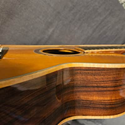 DeCava Guitars | OM Special | Ser. #2010 | 5/08 | Brazilian Rosewood / Adirondack Spruce | Nitrocellulose image 19