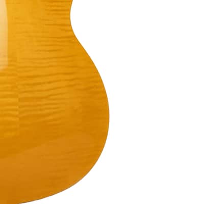 Gold Tone Mojo Flamed Solid Maple Top Mahogany Round Neck Resonator Guitar with Pickup & Hard Case image 7