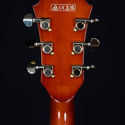 Ibanez AG95MGDA, AG Expressionist, Mango top/back/sides, Gold Hardware image 10