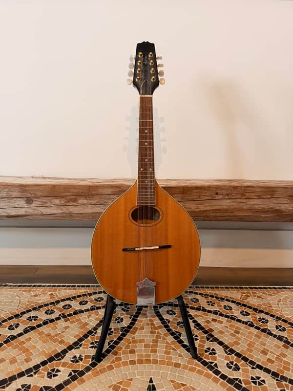 Trinity College TM-250 Celtic Mandolin – All-Solid Woods, One-Owner "Closet Classic" with Mint Original Hardshell Case image 1