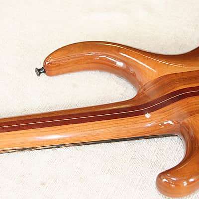 Tobias PRE Gibson fretless 5 string bass W/13 pin midi output image 6