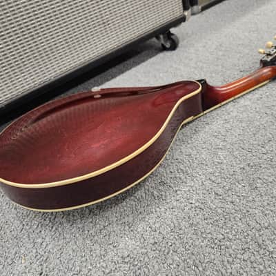 Gibson A3 mandolin 1919 - Ivory (White top) with case image 19