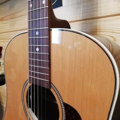 SEAGULL Coastline Momentum HG A/E – Dreadnought Acoustic-Electric Guitar image 7