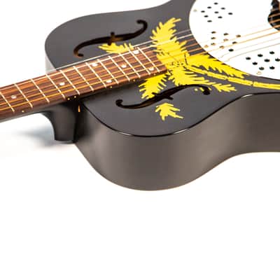 Gibson Dobro Owned by Billy Corgan image 13