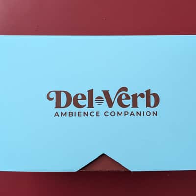 Universal Audio Del-Verb Ambience Companion 2023 - Present - Seafoam Green image 3