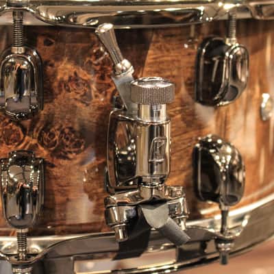 Tama S.L.P. G-Maple Snare Drum 14x6 Gloss Lacquer over Kona Mappa Burl - New! image 3