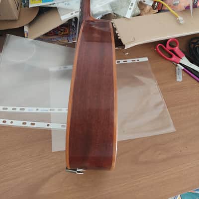 Mandolino Prudenzio Saez image 10