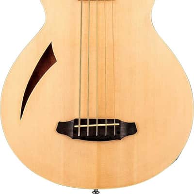 ESP LTD TL-5 Thinline 5-String Acoustic-Electric Bass Guitar, Rosewood Fingerboard image 1