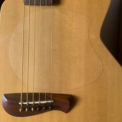 Tacoma BM6C Baritone Thunderhawk Datt Case image 6