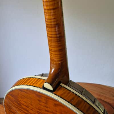 Deering Calico 5-String Banjo 2010s - with hard case, capo spikes, capo image 12