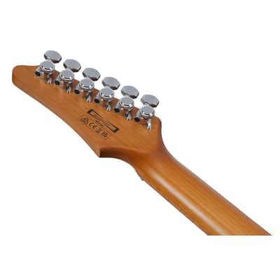 Ibanez AZ22S1F Standard 6-String Right-Handed Electric Guitar with Roasted Maple Neck and Jatoba Fretboard (Transparent Black Sunburst) image 7