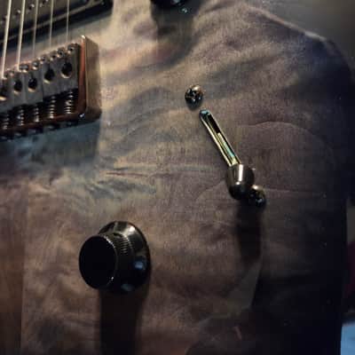 PRS SE Mark Holcomb 2017 - 2022 - Holcomb Blue Burst image 8